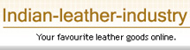 Indian Leather Industry